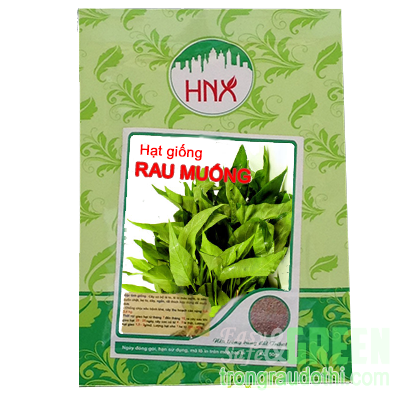 Hạt giống rau mầm rau muống cạn